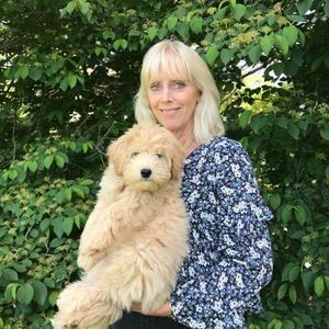 Meet your Posher, Jean